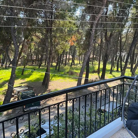 Eva Maria - The Number 5 - 2 Bedrooms Lejlighed Metamorfosi (Sithonia)